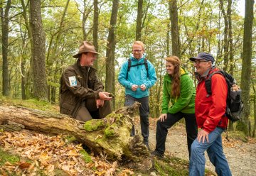 randonnées guidées